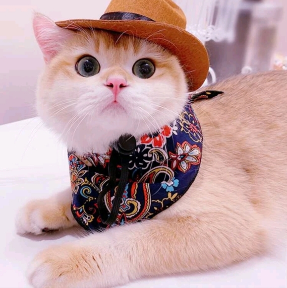 Cowboy hat for small pets - Picture 2 of 4